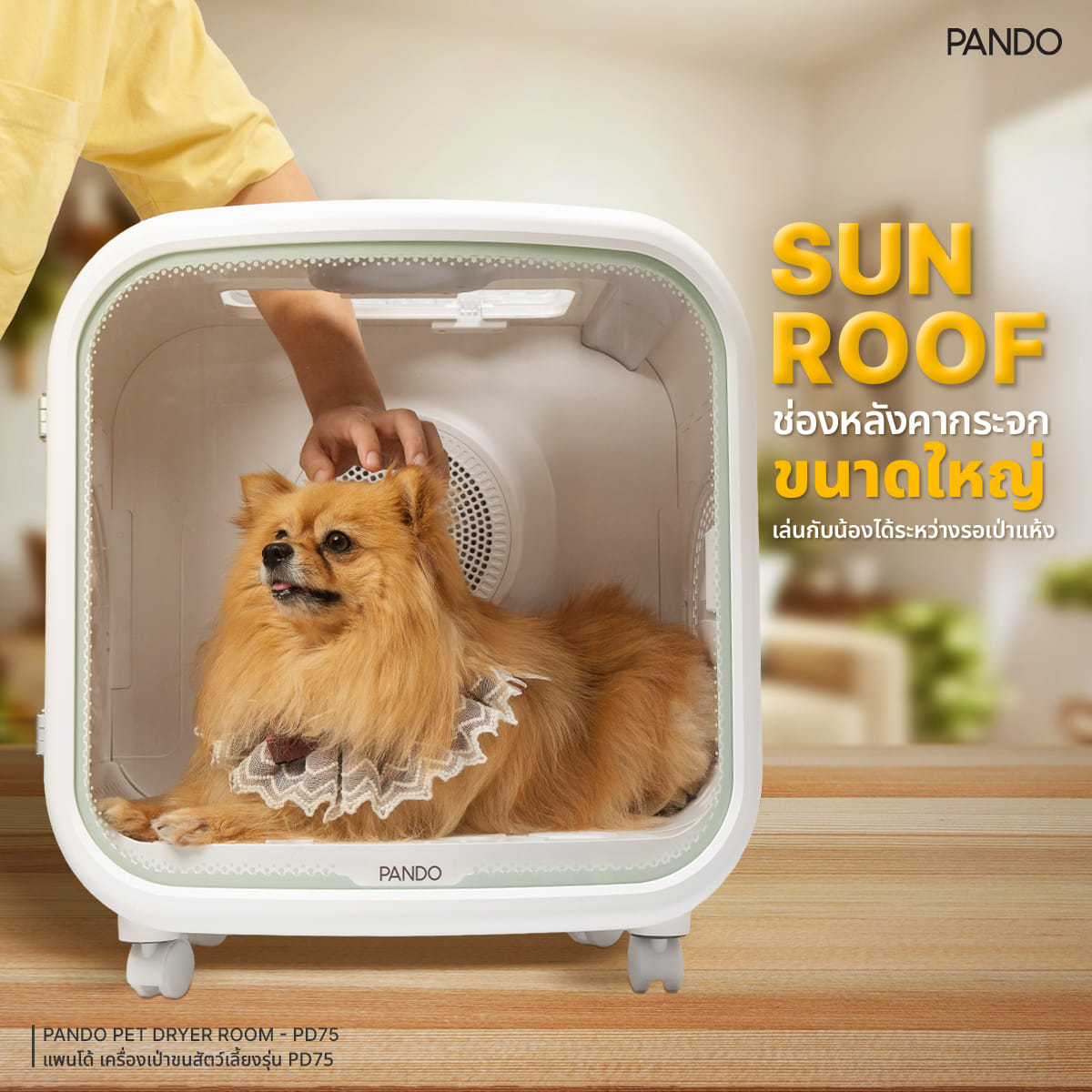 เครื่องเป่าขนสำหรับสัตว์เลี้ยง PANDO รุ่น PD75